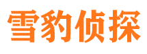 东安市调查公司